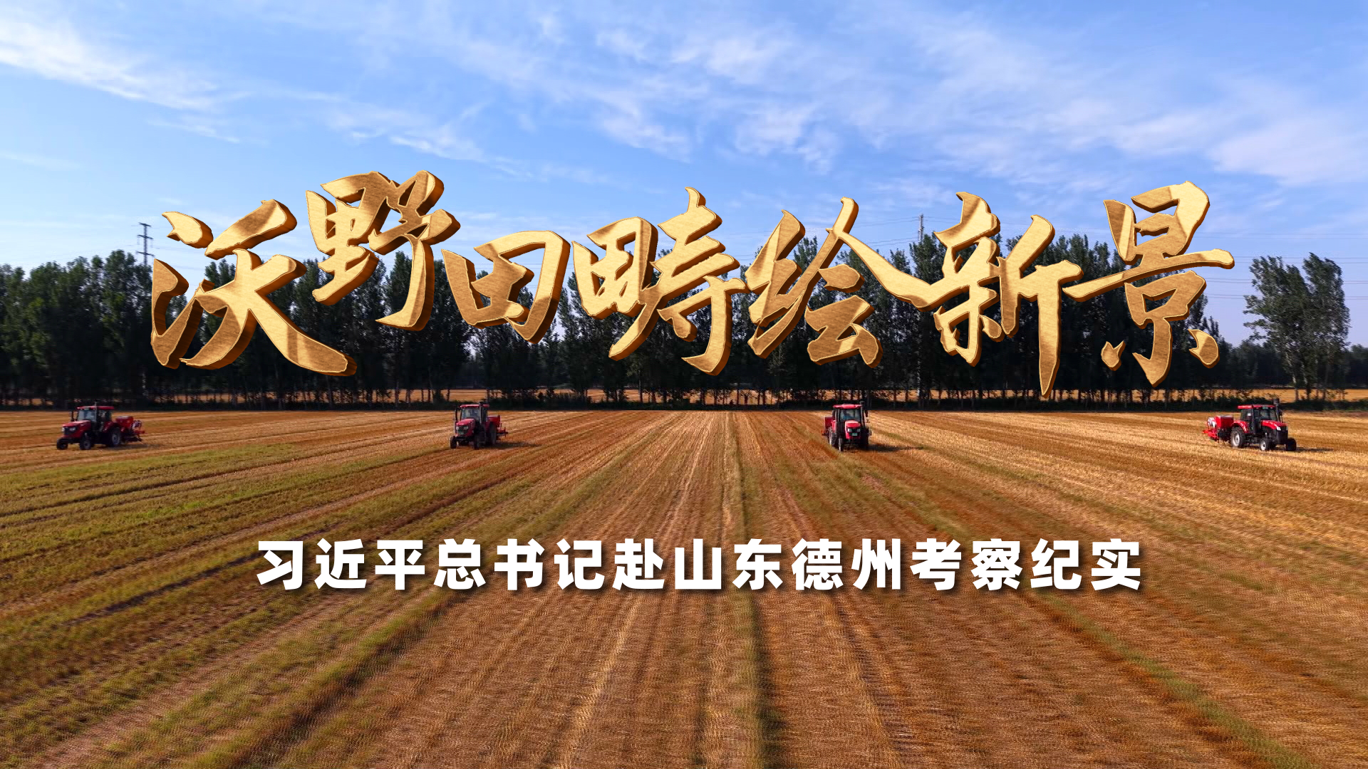 国产短剧已经疯了