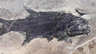 直播海报:国新办就“十五五”时期加快新型能源体系建设有关规划情况举行新闻发布会