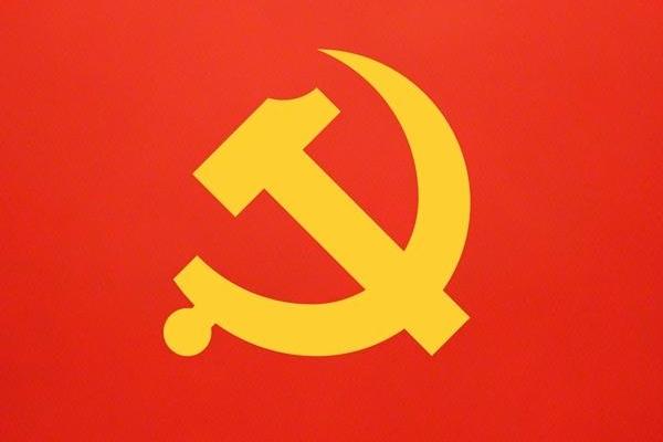 邓亚萍谈金琴英比张本美和