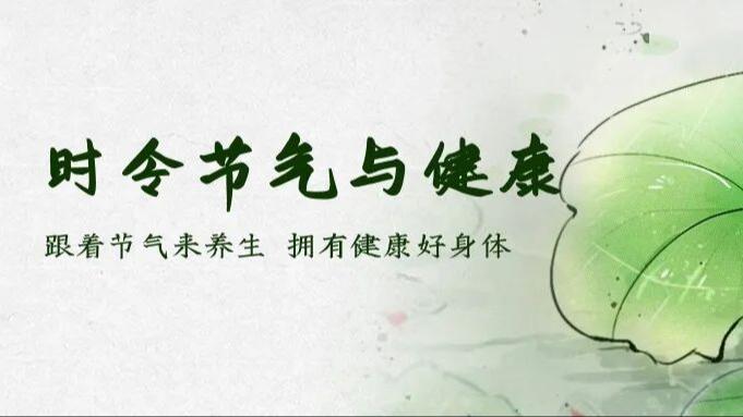 成全视频免费观看在线看