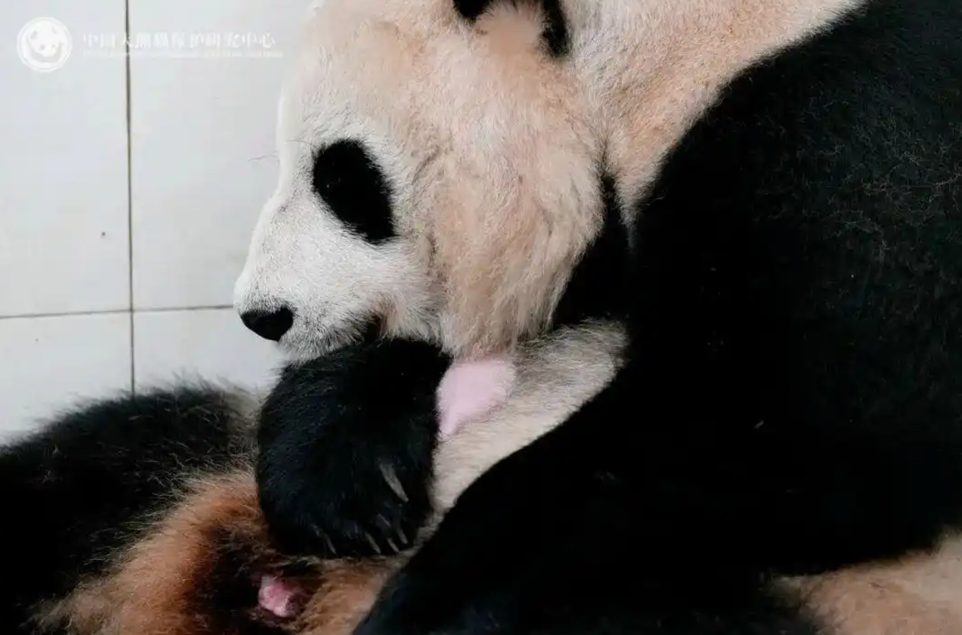 萧敬腾在婚礼上泪流满面