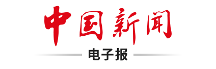 深入学习贯彻习近平党建思想系列述评之五