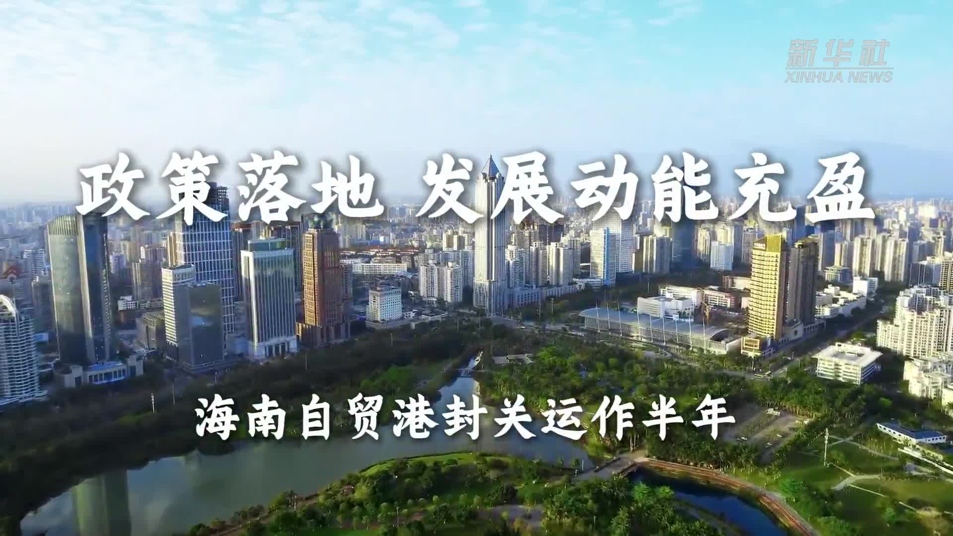 白鹿喝中药睡过头了