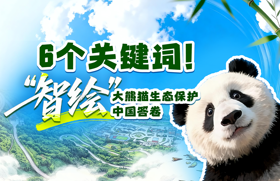 日本中文字幕在线