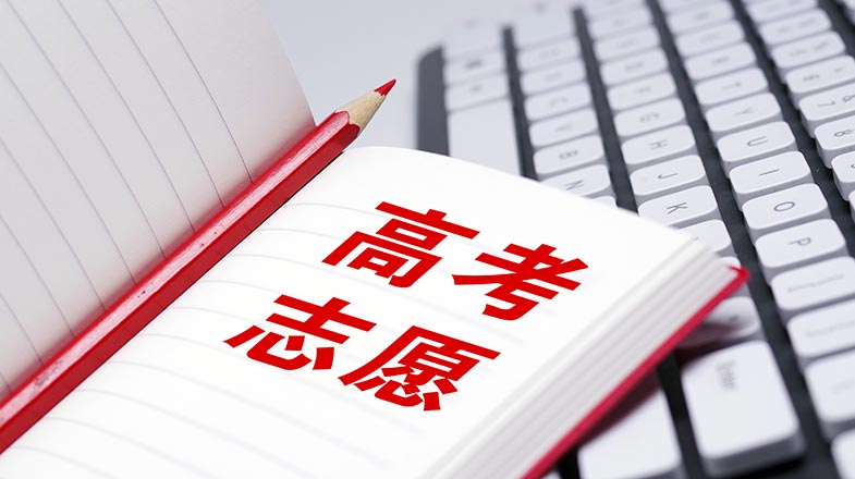 郑钦文武网亚军